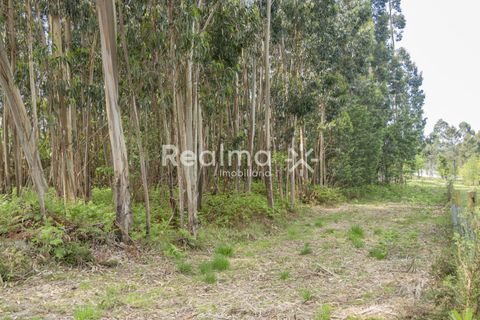 Helårsgrund i Braga, Braga, Braga - € 199.900 | Ref: R01523 - foto 13