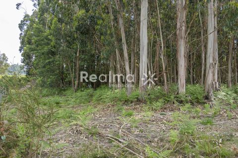 Helårsgrund i Braga, Braga, Braga - € 199.900 | Ref: R01523 - foto 14