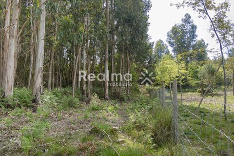Helårsgrund i Braga, Braga, Braga - € 199.900 | Ref: R01523 - foto 15