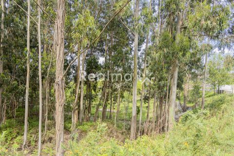 Helårsgrund i Braga, Braga, Braga - € 199.900 | Ref: R01523 - foto 16