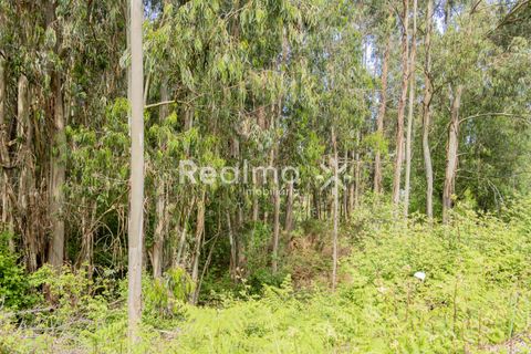 Helårsgrund i Braga, Braga, Braga - € 199.900 | Ref: R01523 - foto 17