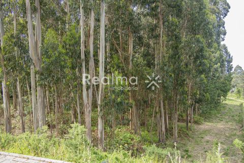 Helårsgrund i Braga, Braga, Braga - € 199.900 | Ref: R01523 - foto 18