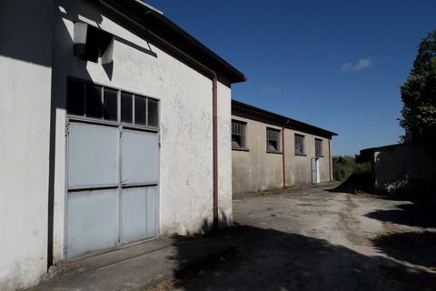 L'establiment comercial a Trecenta, Rovigo, Trecenta - € 75.000 | Ref: TC 37 - foto 4