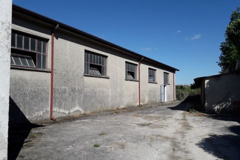 L'establiment comercial a Trecenta, Rovigo, Trecenta - € 75.000 | Ref: TC 37 - foto 5