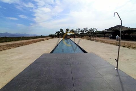 Villa i Murcia, Murcia, Murcia - € 599.950 | Ref: DNV0373 - foto 7