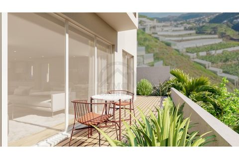 Byhus i Camara de Lobos, Madeira, Camara de Lobos - € 545.000 | Ref: IC_604E - foto 25