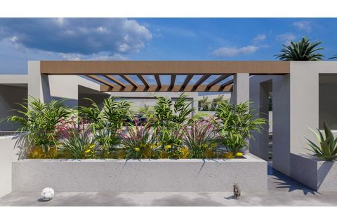 Byhus i Camara de Lobos, Madeira, Camara de Lobos - € 545.000 | Ref: IC_604E - foto 26