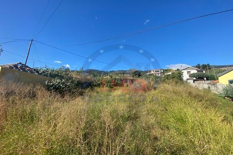 Terra a Sao Roque, Madeira, Sao Roque - € 295.000 | Ref: IC_739 - foto 2