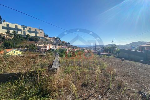 Terra a Sao Roque, Madeira, Sao Roque - € 295.000 | Ref: IC_739 - foto 3