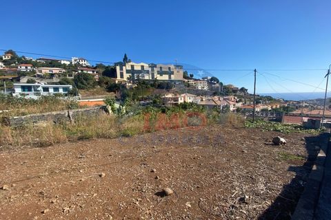 Terra a Sao Roque, Madeira, Sao Roque - € 295.000 | Ref: IC_739 - foto 4