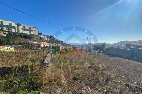 Terra a Sao Roque, Madeira, Sao Roque - € 295.000 | Ref: IC_739 - foto 6