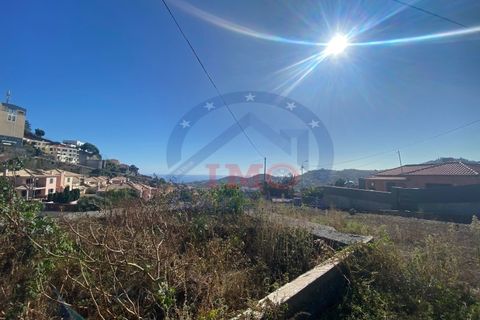 Terra a Sao Roque, Madeira, Sao Roque - € 295.000 | Ref: IC_739 - foto 7