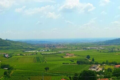 Terra a Tregnago, Verona, Tregnago - € 115.000 | Ref: 1519 - foto 2