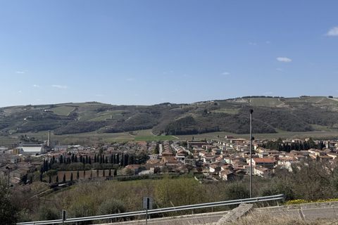 Terra a Tregnago, Verona, Tregnago - € 115.000 | Ref: 1519 - foto 6