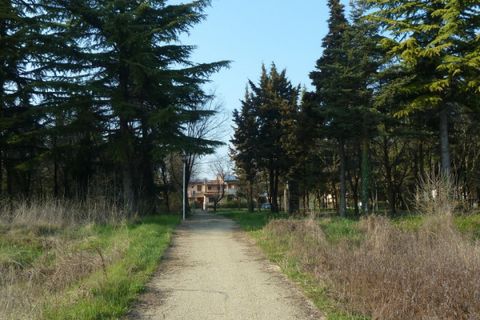 Terra a Tregnago, Verona, Tregnago - € 210.000 | Ref: 1893 - foto 5