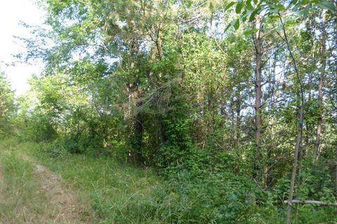 Tomt i Tregnago, Verona, Tregnago - € 100 000 | Ref: 1788 - foto 3