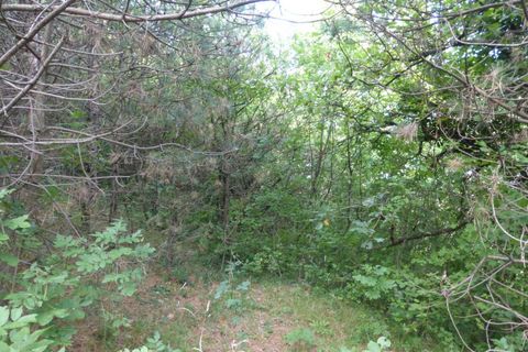 Tomt i Tregnago, Verona, Tregnago - € 100 000 | Ref: 1788 - foto 4
