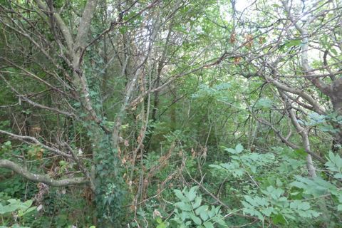 Tomt i Tregnago, Verona, Tregnago - € 100 000 | Ref: 1788 - foto 6