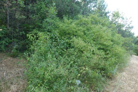 Tomt i Tregnago, Verona, Tregnago - € 100 000 | Ref: 1788 - foto 8