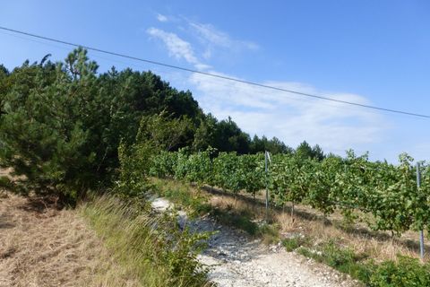 Tomt i Tregnago, Verona, Tregnago - € 100 000 | Ref: 1788 - foto 10