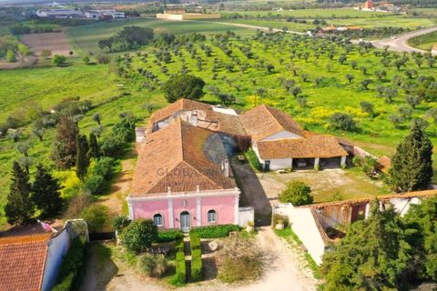 Farm i Riachos, Santarem, Riachos - € 1.500.000 | Ref: QUI2220 - foto 2