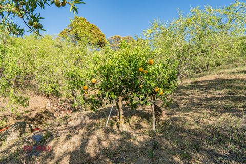 Villa a Colmenar, Malaga, Colmenar - € 395.000 | Ref: 7272-00377/7272 - foto 49