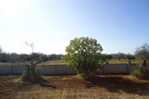 Villa i Matino, Lecce, Matino - € 103.000 | Ref: MSA-103 - foto 6