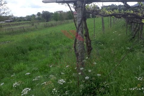 Helårsgrund i Ponte de Lima, Viana do Castelo, Ponte de Lima - € 14.000 | Ref: PTL-1112-TP-0523 - foto 2