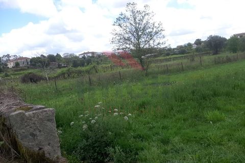 Helårsgrund i Ponte de Lima, Viana do Castelo, Ponte de Lima - € 14.000 | Ref: PTL-1112-TP-0523 - foto 3