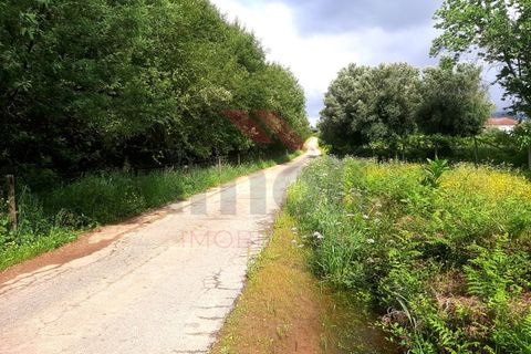 Helårsgrund i Ponte de Lima, Viana do Castelo, Ponte de Lima - € 28.500 | Ref: PTL-1113-TP-0523 - foto 1