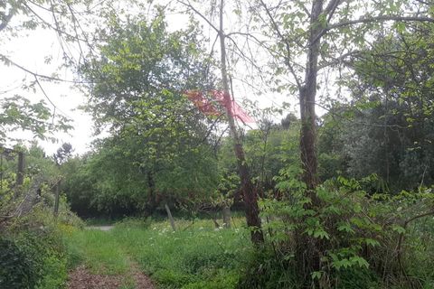 Helårsgrund i Ponte de Lima, Viana do Castelo, Ponte de Lima - € 28.500 | Ref: PTL-1113-TP-0523 - foto 6