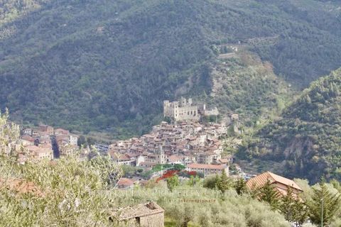 Terra a Dolceacqua, Imperia, Dolceacqua - € 200.000 | Ref: T177 - foto 14