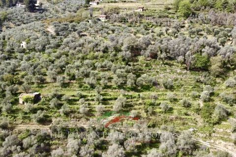 Terra a Dolceacqua, Imperia, Dolceacqua - € 200.000 | Ref: T177 - foto 15