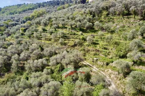 Terra a Dolceacqua, Imperia, Dolceacqua - € 200.000 | Ref: T177 - foto 16