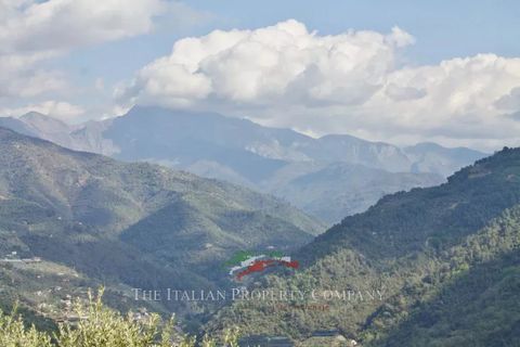 Terra a Dolceacqua, Imperia, Dolceacqua - € 200.000 | Ref: T177 - foto 19