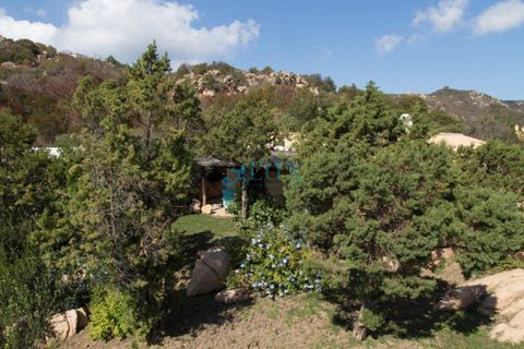 Villa i Arzachena, Sassari, Arzachena - € 1.200.000 | Ref: 1167 - foto 30