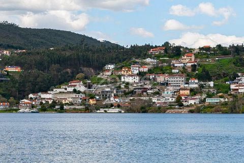 Terra a Melres e Medas, Porto, Melres e Medas - € 249.500 | Ref: ZMPT557351 - foto 16