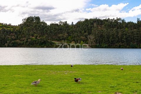 Terra a Melres e Medas, Porto, Melres e Medas - € 249.500 | Ref: ZMPT557351 - foto 19