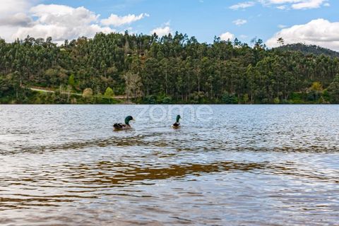 Terra a Melres e Medas, Porto, Melres e Medas - € 249.500 | Ref: ZMPT557351 - foto 20