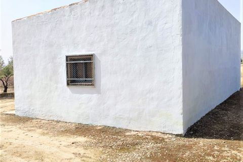 Grundstück in Caudete, Albacete - Foto 1