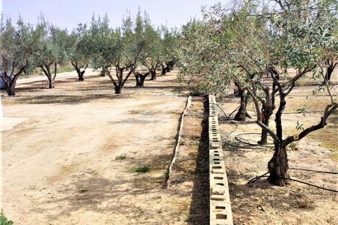 Helårsgrund i Caudete, Albacete, Caudete - € 38.000 | Ref: ALB0002 - foto 6