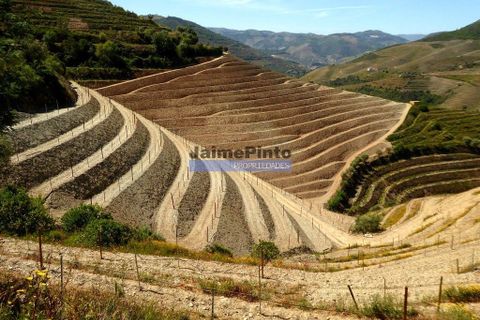 Terra a Sabrosa, Vila Real, Sabrosa - € 99.000 | Ref: 9267_T - foto 8