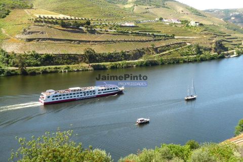 Terra a Sabrosa, Vila Real, Sabrosa - € 58.000 | Ref: 9266_T - foto 5
