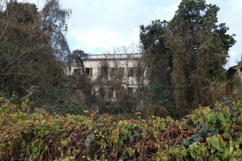 Erhvervsejendom i Venice, Venice, Venice - € 1.560.000 | Ref: FC115 - foto 2