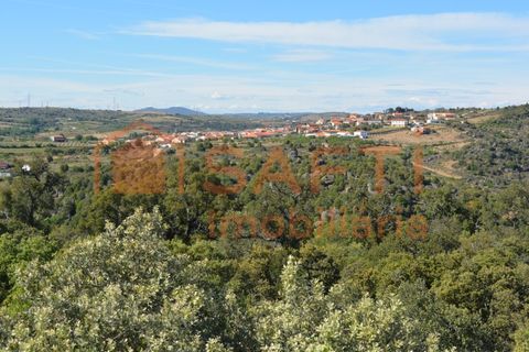 Byhus i Mogadouro, Braganca, Mogadouro - € 59.000 | Ref: SAFTI:003238 - foto 44