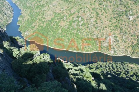 Byhus i Mogadouro, Braganca, Mogadouro - € 59.000 | Ref: SAFTI:003238 - foto 45