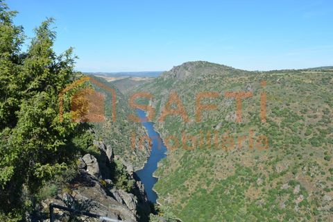 Byhus i Mogadouro, Braganca, Mogadouro - € 59.000 | Ref: SAFTI:003238 - foto 48