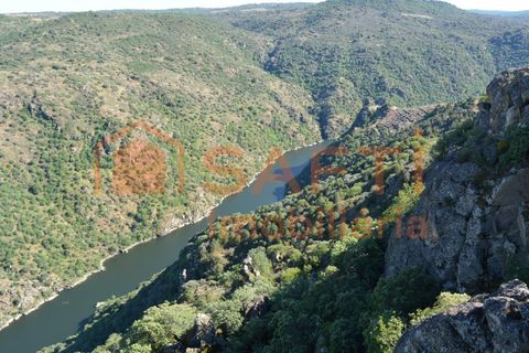 Byhus i Mogadouro, Braganca, Mogadouro - € 59.000 | Ref: SAFTI:003238 - foto 49