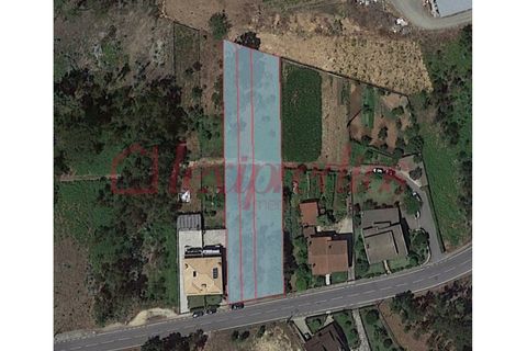Helårsgrund i Agueda, Aveiro, Agueda - € 63.000 | Ref: AG 4014 - foto 3