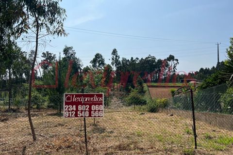 Helårsgrund i Agueda, Aveiro, Agueda - € 63.000 | Ref: AG 4014 - foto 2